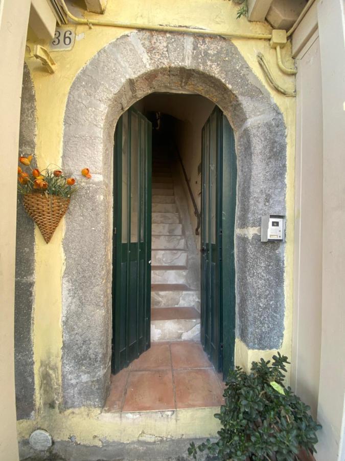 Procida Marina Grande Daire Dış mekan fotoğraf